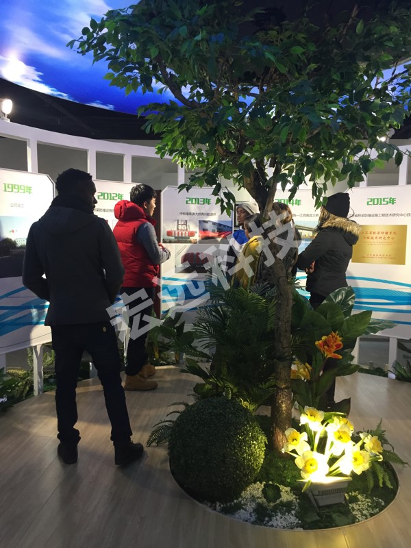 1734415400286115.jpg 15519371041873655.jpg